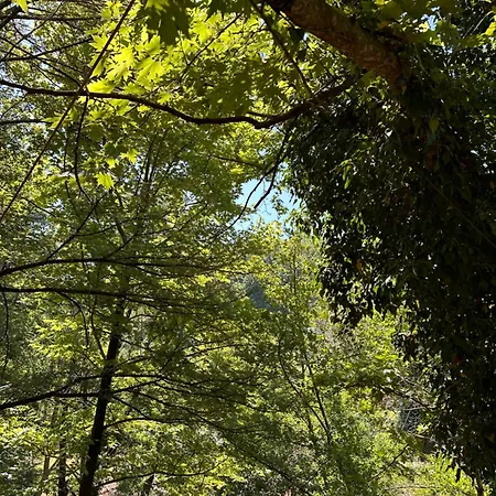 Szálloda Bar Restaurant Gysi