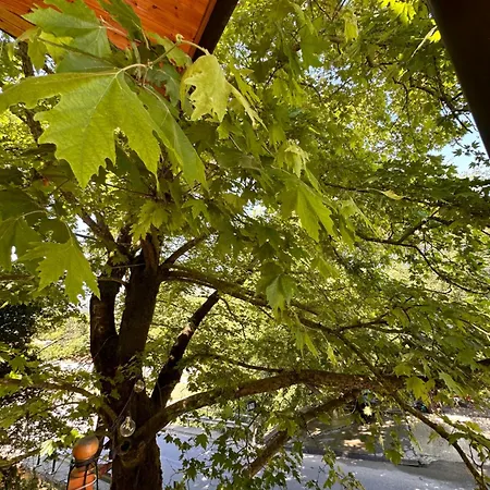 Hotel Bar Restaurant Gysi 3*