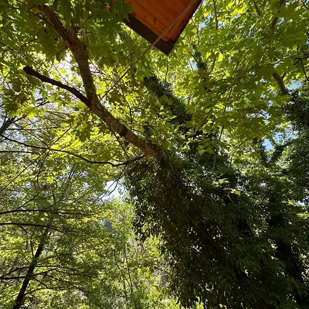 Bar Restaurant Gysi מלון 3*