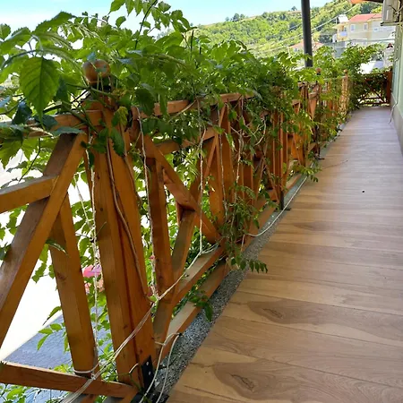 מלון Bar Restaurant Gysi 3*