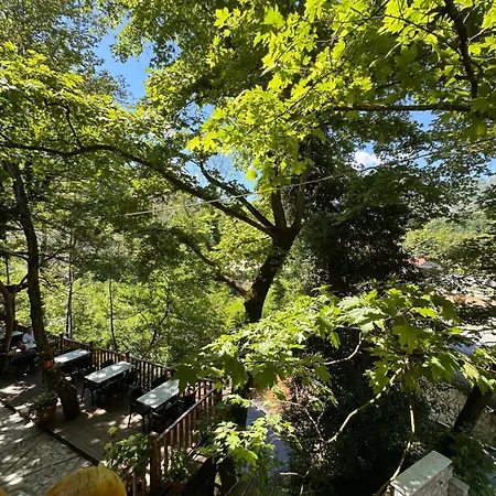 מלון Bar Restaurant Gysi