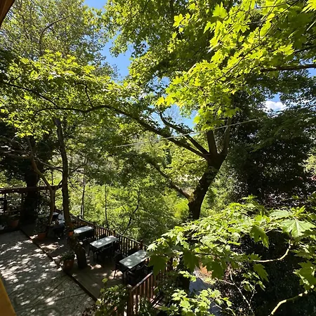 Bar Restaurant Gysi מלון Klos