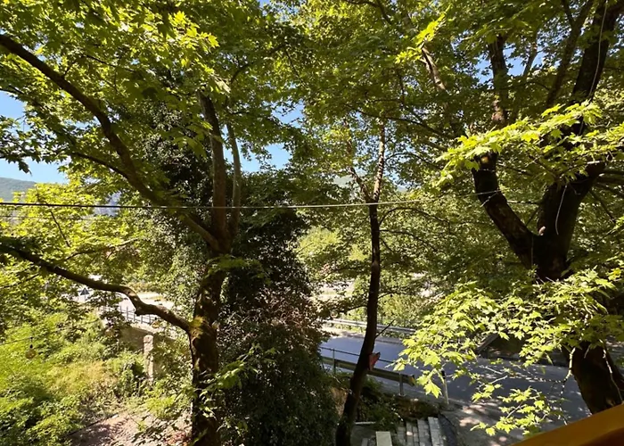 ホテル Bar Restaurant Gysi Klos